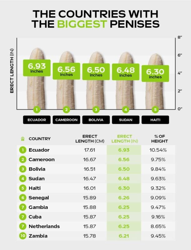 The member measure infographic showcasing countries with the biggest penises.
