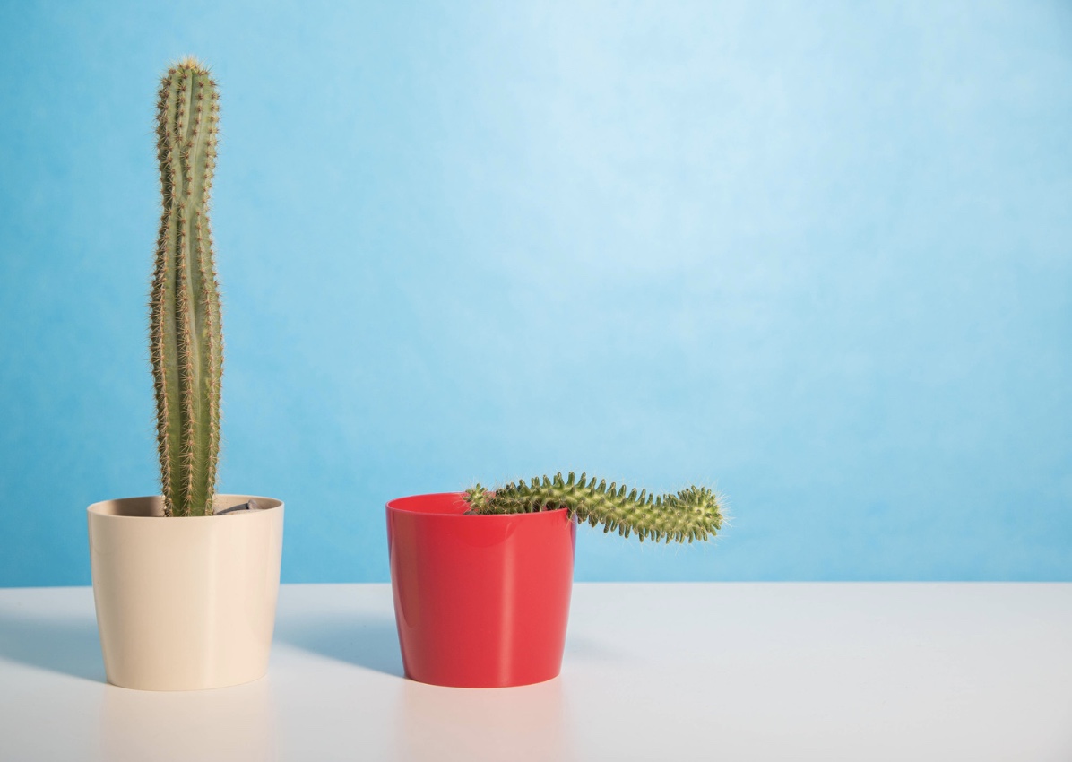 Can cycling cause erectile dysfunction? NowPatient