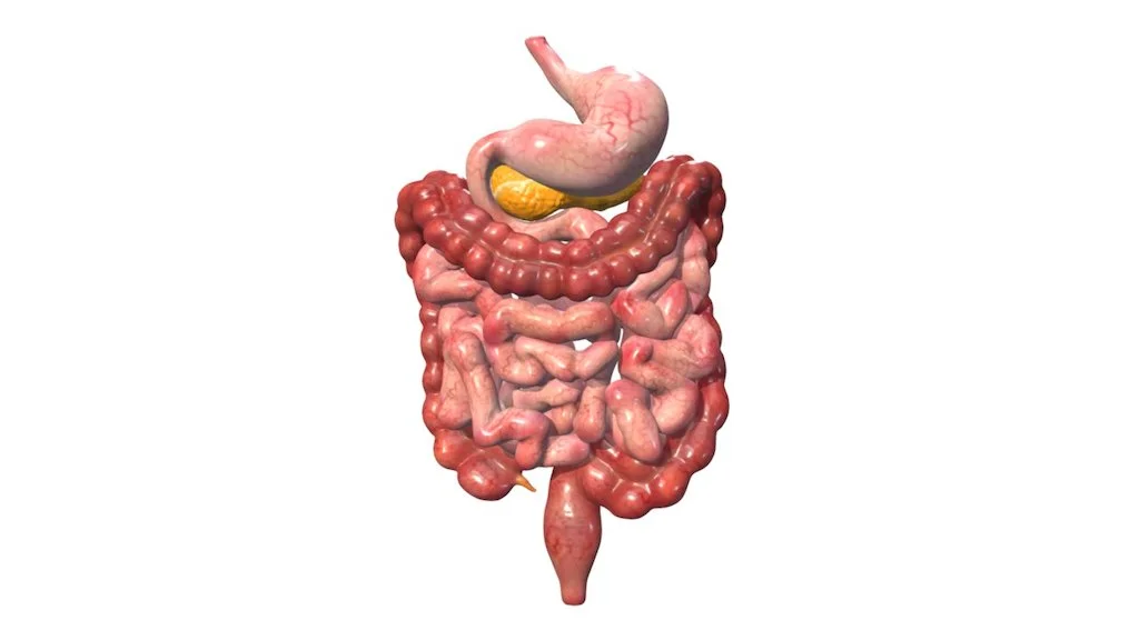 is-bowel-leakage-a-sign-of-cancer-nowpatient