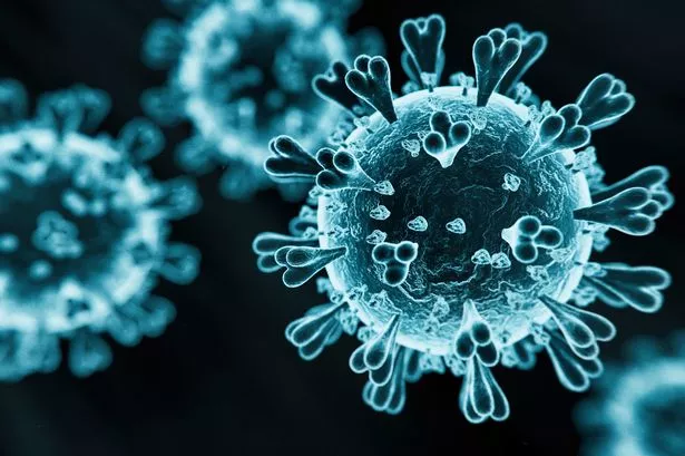 The Stratus strain, scientifically known as XFG (with subvariant XFG.3)
